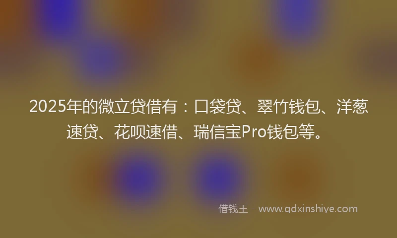 2025年的微立贷借有：口袋贷、翠竹钱包、洋葱速贷、花呗速借、瑞信宝Pro钱包等。
