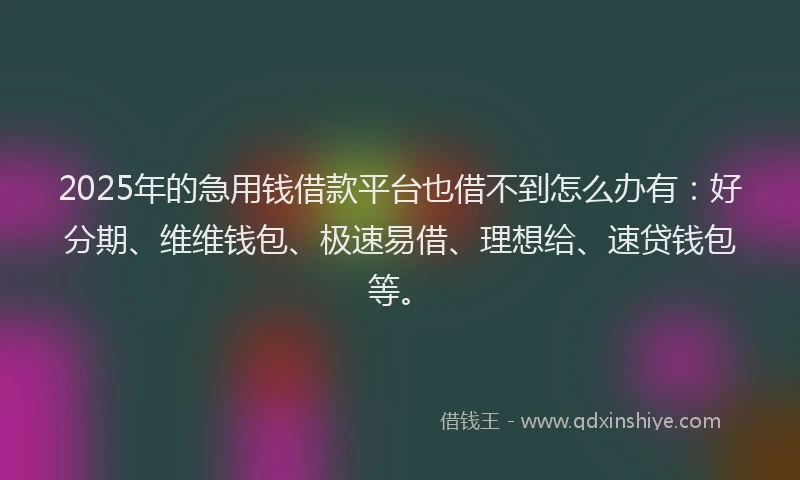 2025年的急用钱借款平台也借不到怎么办有：好分期、维维钱包、极速易借、理想给、速贷钱包等。