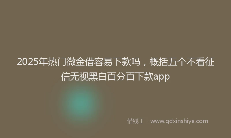 2025年热门微金借容易下款吗，概括五个不看征信无视黑白百分百下款app