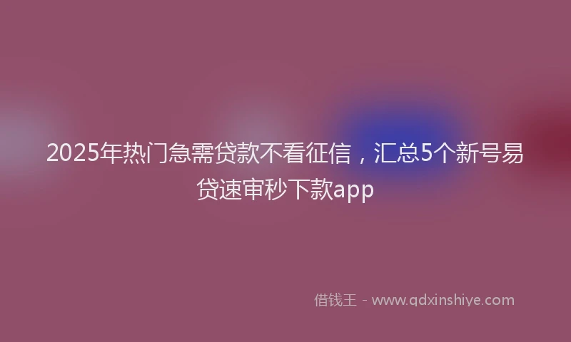 2025年热门急需贷款不看征信，汇总5个新号易贷速审秒下款app