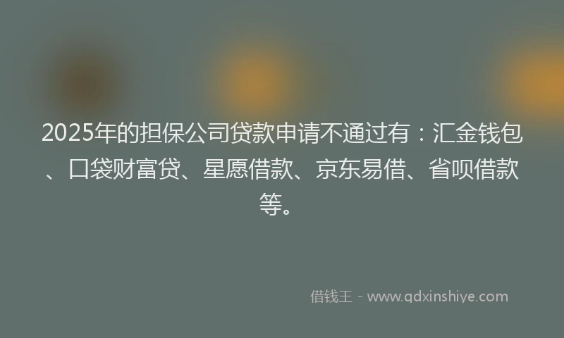 2025年的担保公司贷款申请不通过有：汇金钱包、口袋财富贷、星愿借款、京东易借、省呗借款等。