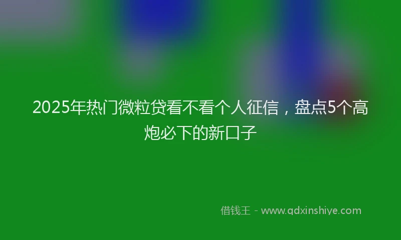 2025年热门微粒贷看不看个人征信，盘点5个高炮必下的新口子