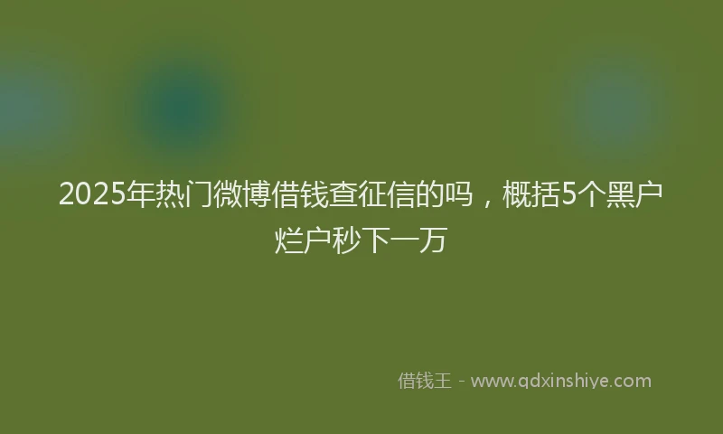 2025年热门微博借钱查征信的吗，概括5个黑户烂户秒下一万