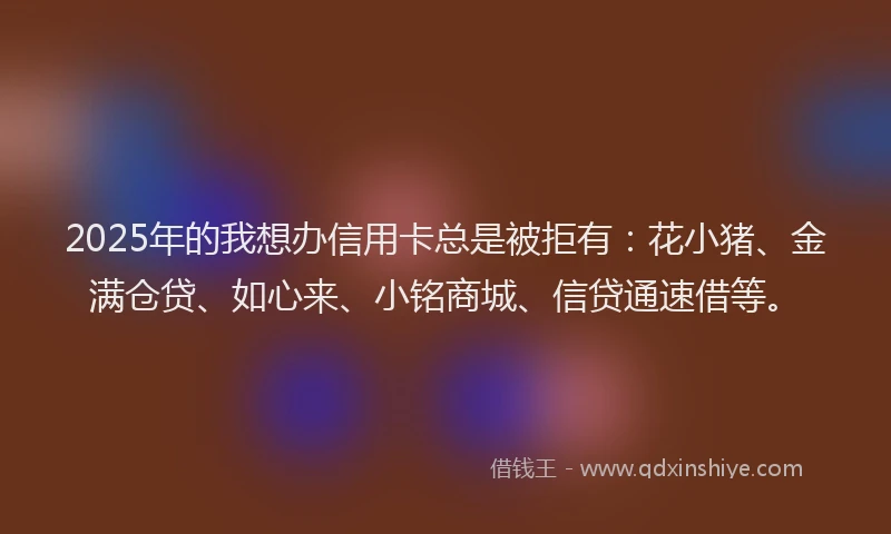 2025年的我想办信用卡总是被拒有：花小猪、金满仓贷、如心来、小铭商城、信贷通速借等。