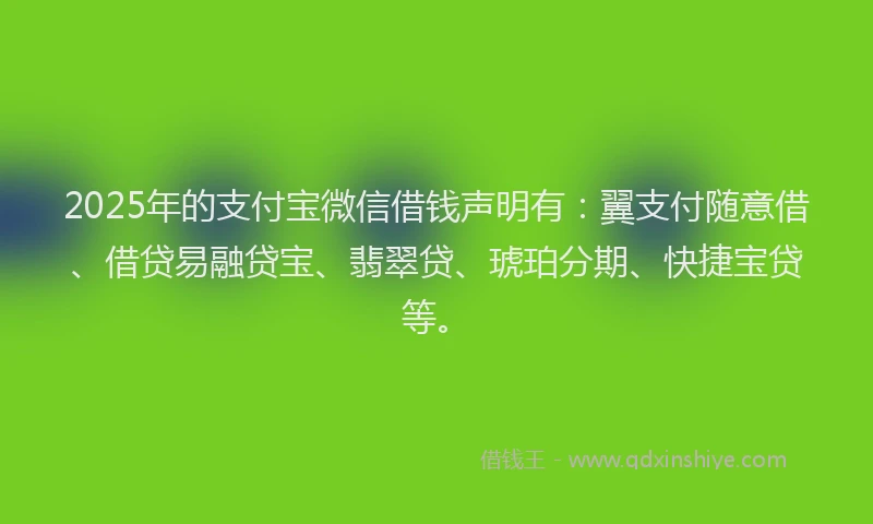 2025年的支付宝微信借钱声明有：翼支付随意借、借贷易融贷宝、翡翠贷、琥珀分期、快捷宝贷等。