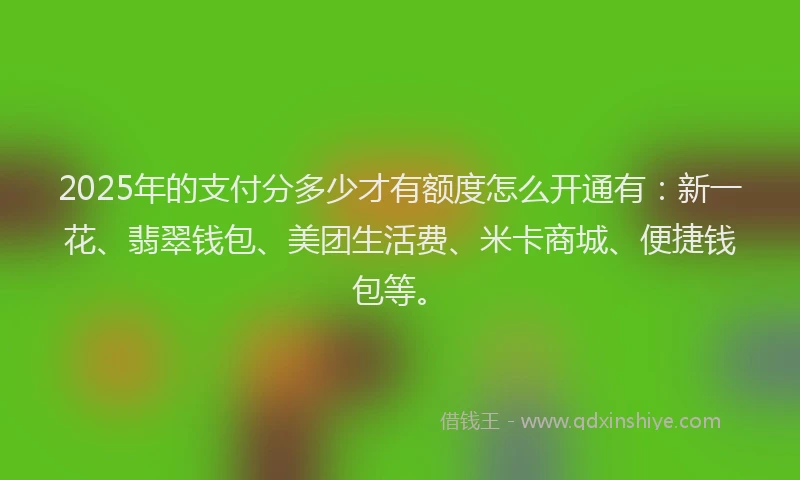 2025年的支付分多少才有额度怎么开通有：新一花、翡翠钱包、美团生活费、米卡商城、便捷钱包等。