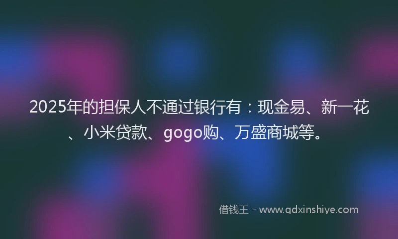 2025年的担保人不通过银行有：现金易、新一花、小米贷款、gogo购、万盛商城等。