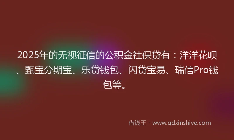 2025年的无视征信的公积金社保贷有：洋洋花呗、甄宝分期宝、乐贷钱包、闪贷宝易、瑞信Pro钱包等。