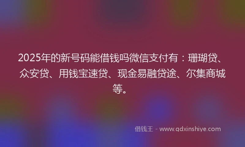 2025年的新号码能借钱吗微信支付有：珊瑚贷、众安贷、用钱宝速贷、现金易融贷途、尔集商城等。