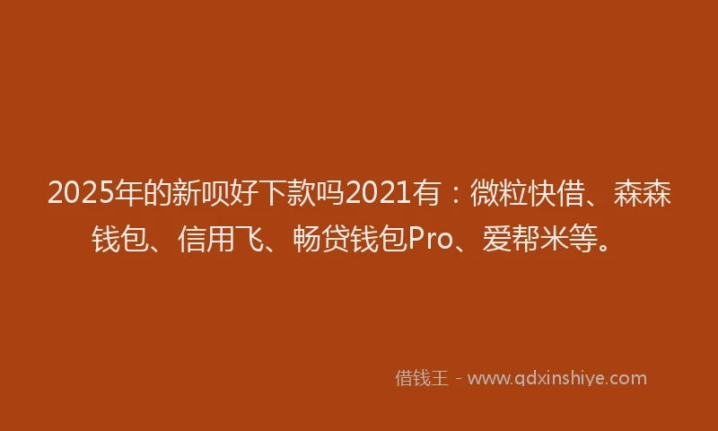 2025年的新呗好下款吗2021有：微粒快借、森森钱包、信用飞、畅贷钱包Pro、爱帮米等。