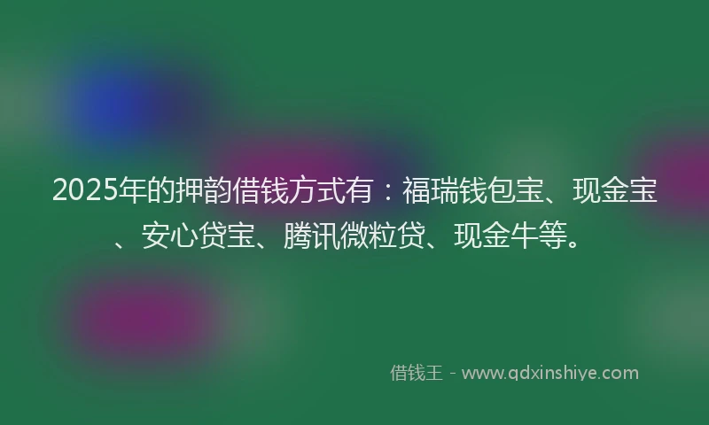 2025年的押韵借钱方式有：福瑞钱包宝、现金宝、安心贷宝、腾讯微粒贷、现金牛等。