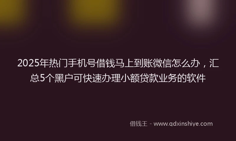 2025年热门手机号借钱马上到账微信怎么办，汇总5个黑户可快速办理小额贷款业务的软件