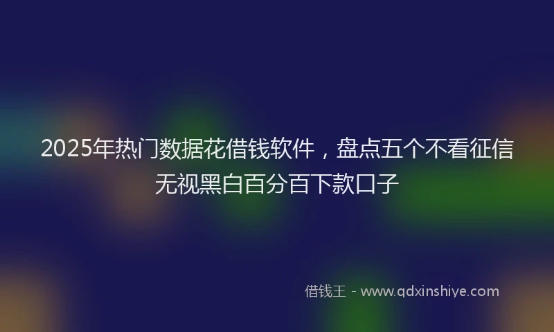 2025年热门数据花借钱软件，盘点五个不看征信无视黑白百分百下款口子