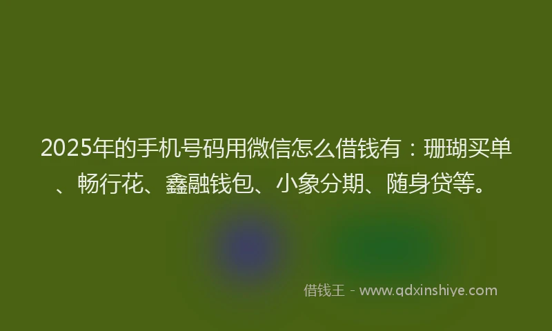 2025年的手机号码用微信怎么借钱有：珊瑚买单、畅行花、鑫融钱包、小象分期、随身贷等。