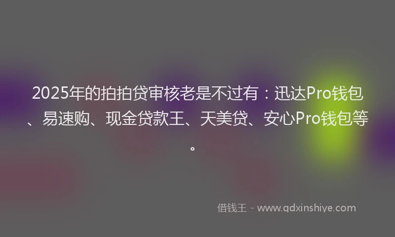 2025年的拍拍贷审核老是不过有：迅达Pro钱包、易速购、现金贷款王、天美贷、安心Pro钱包等。
