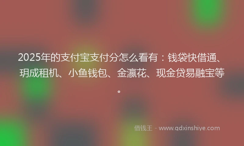 2025年的支付宝支付分怎么看有：钱袋快借通、玥成租机、小鱼钱包、金瀛花、现金贷易融宝等。