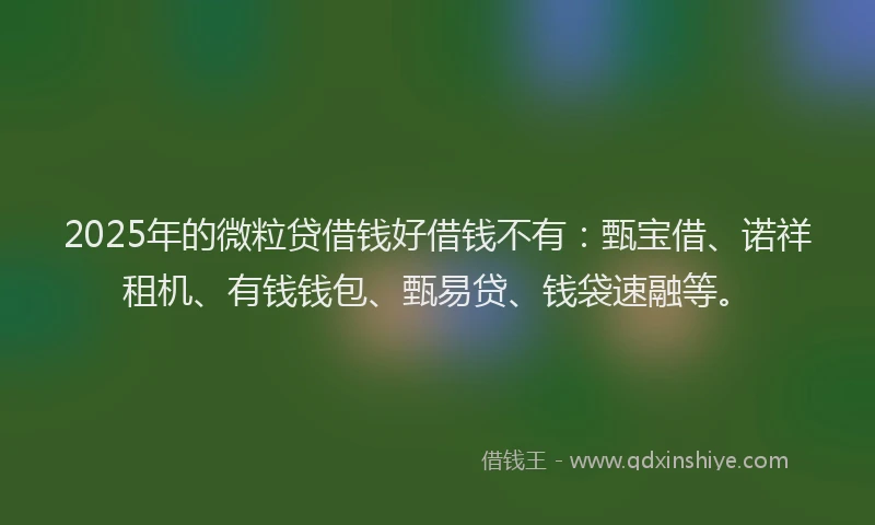 2025年的微粒贷借钱好借钱不有：甄宝借、诺祥租机、有钱钱包、甄易贷、钱袋速融等。