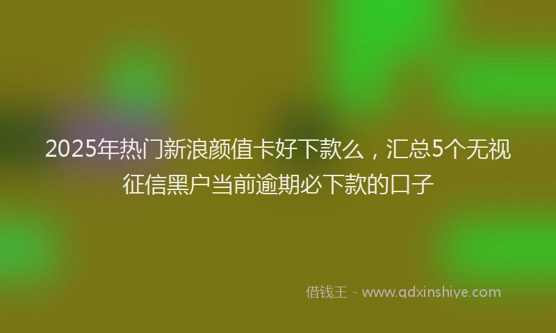 2025年热门新浪颜值卡好下款么，汇总5个无视征信黑户当前逾期必下款的口子