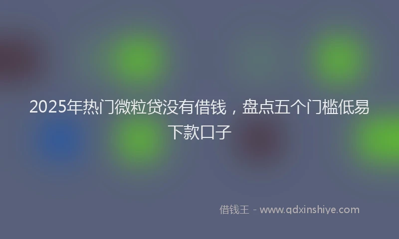 2025年热门微粒贷没有借钱，盘点五个门槛低易下款口子