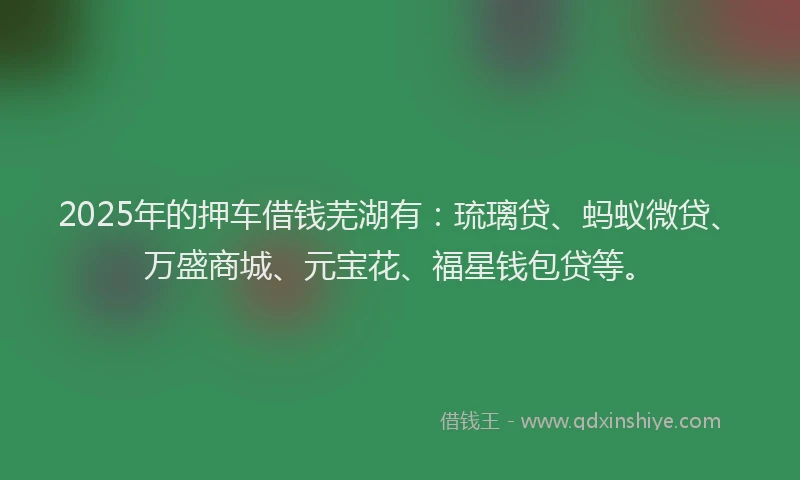 2025年的押车借钱芜湖有：琉璃贷、蚂蚁微贷、万盛商城、元宝花、福星钱包贷等。