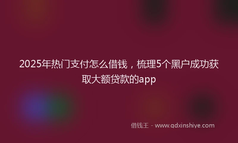 2025年热门支付怎么借钱，梳理5个黑户成功获取大额贷款的app