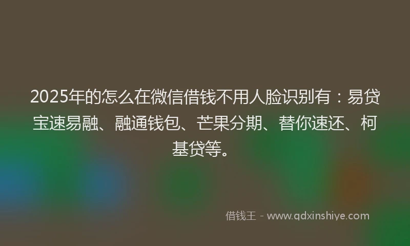 2025年的怎么在微信借钱不用人脸识别有：易贷宝速易融、融通钱包、芒果分期、替你速还、柯基贷等。