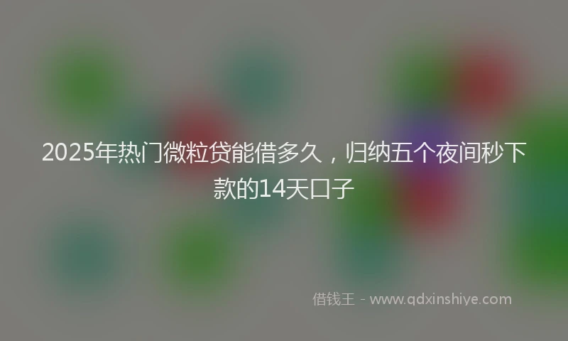 2025年热门微粒贷能借多久，归纳五个夜间秒下款的14天口子