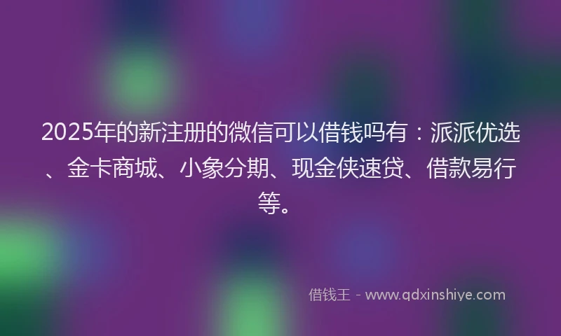 2025年的新注册的微信可以借钱吗有：派派优选、金卡商城、小象分期、现金侠速贷、借款易行等。