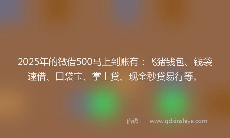 2025年的微借500马上到账有：飞猪钱包、钱袋速借、口袋宝、掌上贷、现金秒贷易行等。