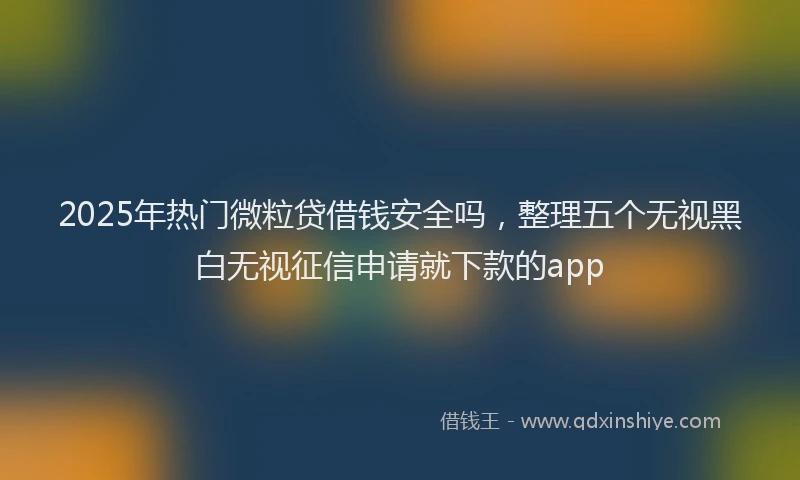 2025年热门微粒贷借钱安全吗，整理五个无视黑白无视征信申请就下款的app