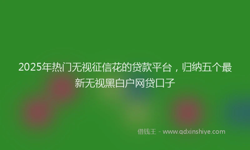 2025年热门无视征信花的贷款平台，归纳五个最新无视黑白户网贷口子