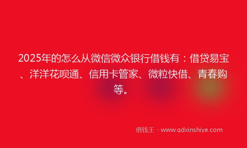 2025年的怎么从微信微众银行借钱有：借贷易宝、洋洋花呗通、信用卡管家、微粒快借、青春购等。