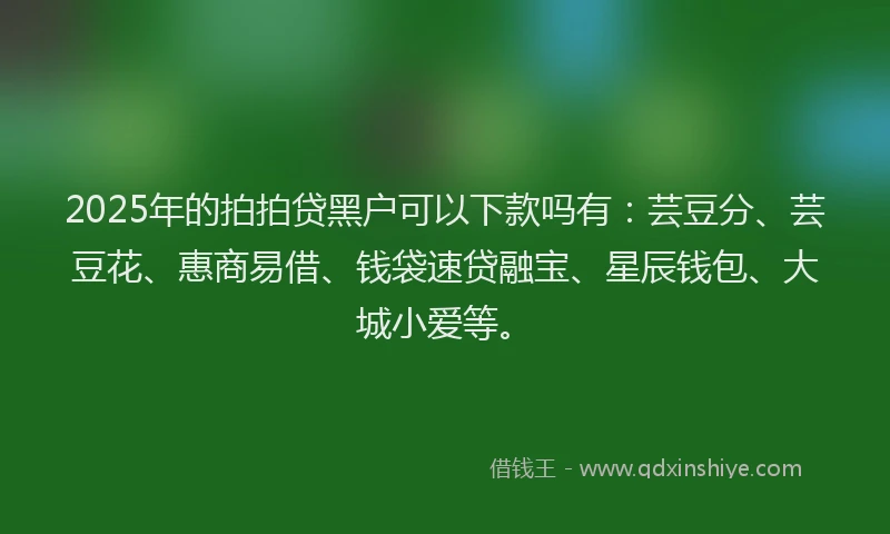 2025年的拍拍贷黑户可以下款吗有：芸豆分、芸豆花、惠商易借、钱袋速贷融宝、星辰钱包、大城小爱等。