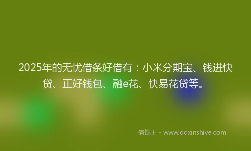 2025年的无忧借条好借有：小米分期宝、钱进快贷、正好钱包、融e花、快易花贷等。