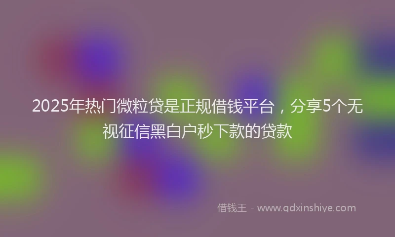 2025年热门微粒贷是正规借钱平台，分享5个无视征信黑白户秒下款的贷款