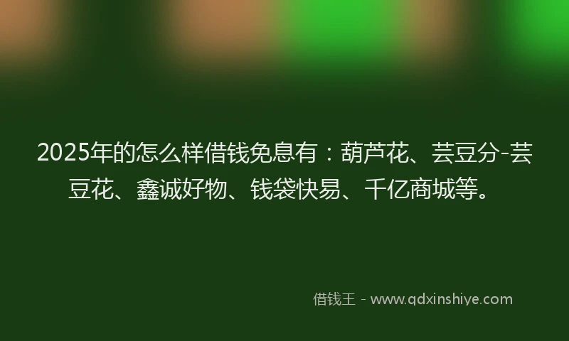 2025年的怎么样借钱免息有：葫芦花、芸豆分-芸豆花、鑫诚好物、钱袋快易、千亿商城等。