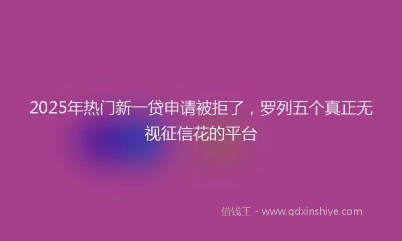 2025年热门新一贷申请被拒了，罗列五个真正无视征信花的平台