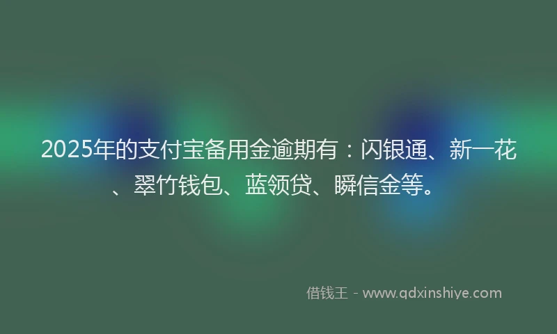 2025年的支付宝备用金逾期有：闪银通、新一花、翠竹钱包、蓝领贷、瞬信金等。