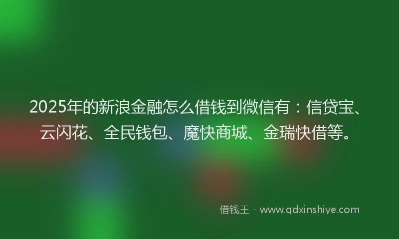 2025年的新浪金融怎么借钱到微信有：信贷宝、云闪花、全民钱包、魔快商城、金瑞快借等。
