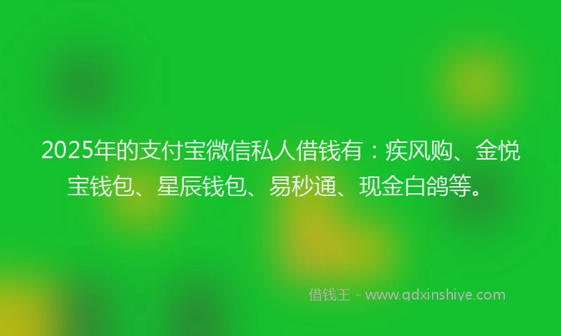 2025年的支付宝微信私人借钱有：疾风购、金悦宝钱包、星辰钱包、易秒通、现金白鸽等。