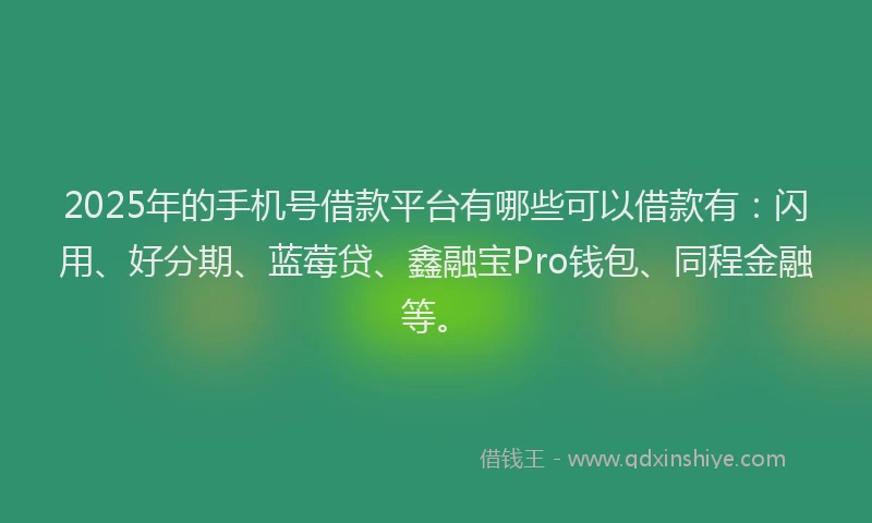 2025年的手机号借款平台有哪些可以借款有：闪用、好分期、蓝莓贷、鑫融宝Pro钱包、同程金融等。