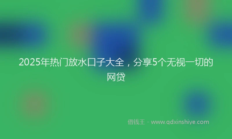 2025年热门放水口子大全，分享5个无视一切的网贷