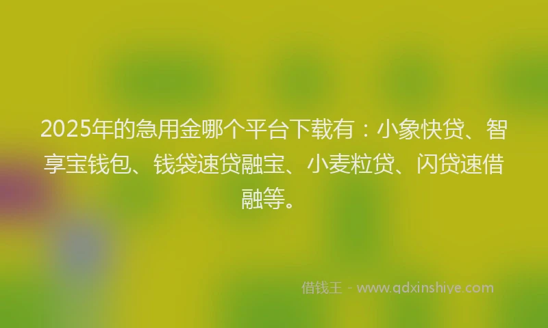 2025年的急用金哪个平台下载有：小象快贷、智享宝钱包、钱袋速贷融宝、小麦粒贷、闪贷速借融等。