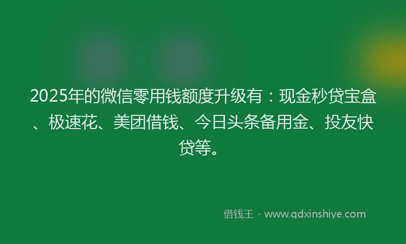 2025年的微信零用钱额度升级有：现金秒贷宝盒、极速花、美团借钱、今日头条备用金、投友快贷等。