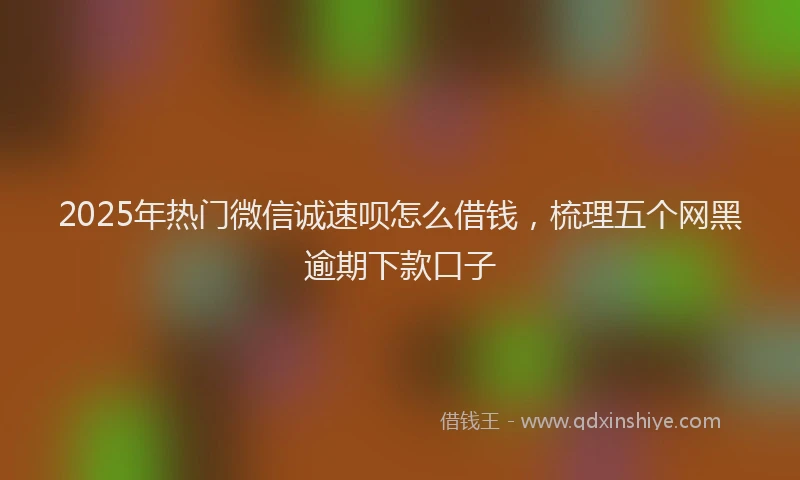 2025年热门微信诚速呗怎么借钱，梳理五个网黑逾期下款口子