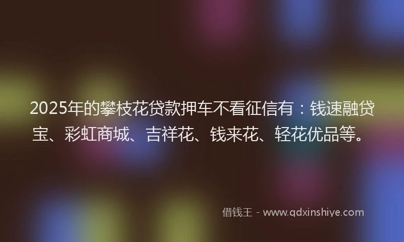 2025年的攀枝花贷款押车不看征信有：钱速融贷宝、彩虹商城、吉祥花、钱来花、轻花优品等。
