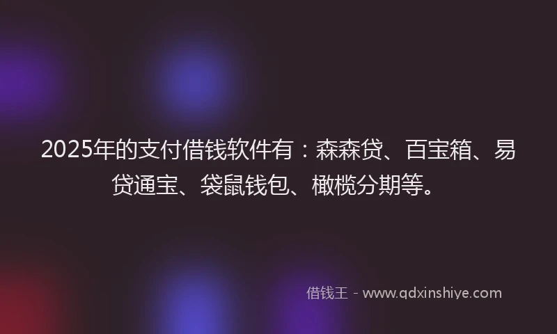 2025年的支付借钱软件有：森森贷、百宝箱、易贷通宝、袋鼠钱包、橄榄分期等。