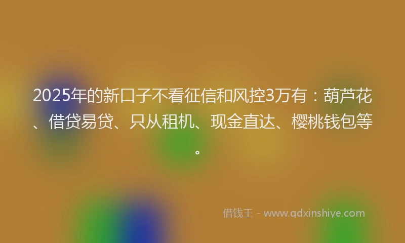 2025年的新口子不看征信和风控3万有：葫芦花、借贷易贷、只从租机、现金直达、樱桃钱包等。