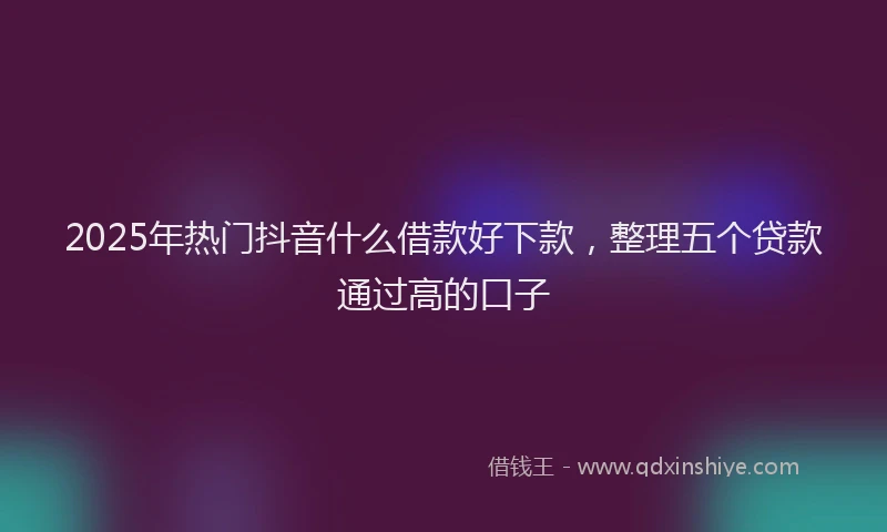 2025年热门抖音什么借款好下款，整理五个贷款通过高的口子