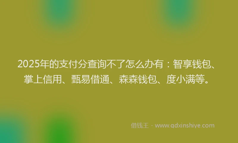 2025年的支付分查询不了怎么办有：智享钱包、掌上信用、甄易借通、森森钱包、度小满等。